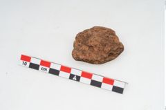 Foto von Feuerbock (NHMW-PRAE-003429)